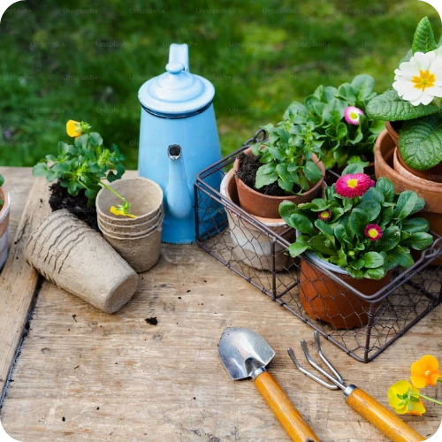Home & Garden
